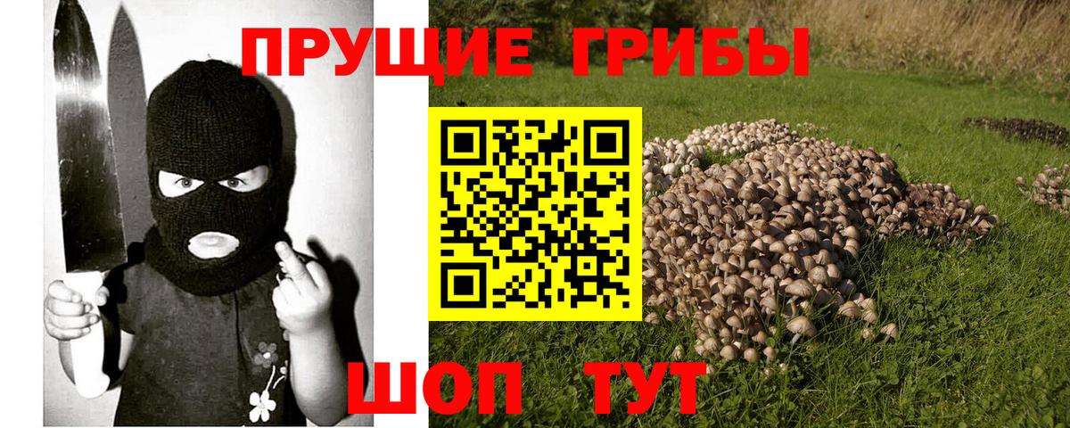 Клинцы  Галлюциногенные грибы прущие грибы  Вход с VPN 